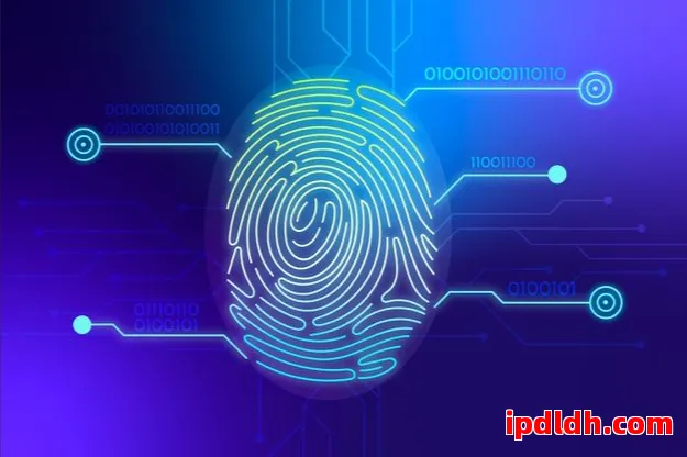 指纹浏览器对比：云登浏览器与Indigo Browser谁更适合跨境电商 第1张