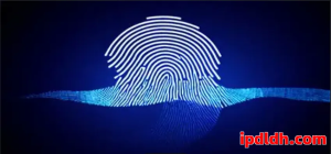 用指纹浏览器保护隐私靠谱吗？安全性全解读