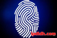 2025 年反检测浏览器对比：Adspower 和海豚浏览器谁更适合你