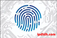 跨境运营工具选择：紫鸟浏览器和GoLogin功能全面分析