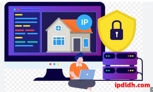 全球主流住宅代理IP速度实测与排名（2025）