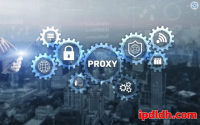 跨区域访问谷歌必备工具！代理IP的重要性全面解析