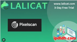 新手必看！Lalicat Browser是什么？怎么用？怎么下载？价格贵不贵？