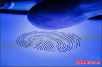 紫鸟浏览器和Ghost Browser哪个更好？功能价格对比一览