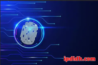 2025年跨境卖家必看：紫鸟浏览器和站斧浏览器五大维度对比