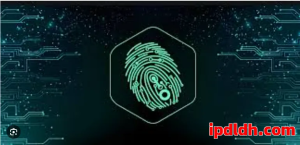 跨境账号多开必看：Adspower与Gologin详细差异解读