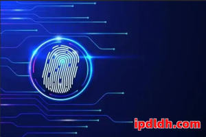 高性能多账户浏览器评测：云登浏览器和Octo Browser优劣对比