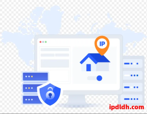 Speedproxies是什么？详细解析使用方法与注意事项