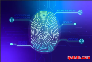 Hubstudio和紫鸟浏览器哪个好？功能价格实用性五维度对比