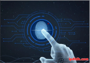选择适合的反检测浏览器:Hubstudio与Octo Browser对比指南