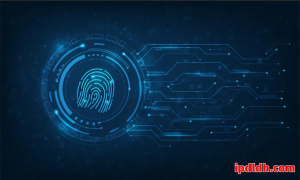 2025年反检测浏览器对比：云登浏览器与跨境卫士实用指南