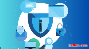 选择适合的反检测浏览器：Adspower 与 Indigo Browser 对比分析