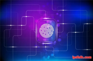 花漾浏览器和紫鸟浏览器优缺点详解，适合不同人群