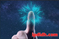 2025年市面上主流指纹浏览器软件大全及选购指南