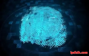 跨境团队首选？紫鸟浏览器与Maskfog优劣势全解读