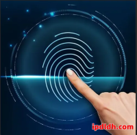 HTTP代理服务器国内外对比：速度、价格与匿名性深度分析