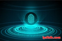 紫鸟浏览器与海豚浏览器全面对比：跨境电商多账号管理最佳工具选择