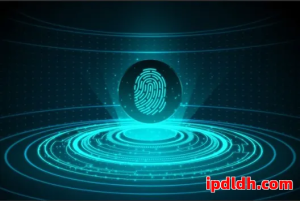 紫鸟浏览器与海豚浏览器全面对比：跨境电商多账号管理最佳工具选择