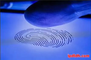 紫鸟浏览器和Undetectable对比分析：功能、价格、实用性全面解读