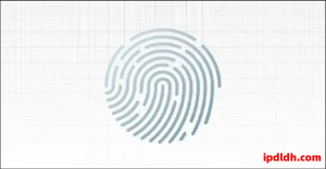 紫鸟浏览器与Indigo Browser五大维度对比，助你选择合适工具