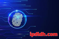 2025企业指纹浏览器选择标准及最佳推荐，助力多账号安全运营