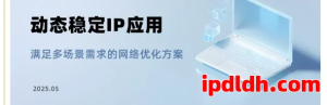 高性价比代理IP 选购全解析：如何匹配你的业务需求
