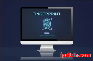 2025年跨境卖家必看：紫鸟浏览器和MoreLogin五维度比较