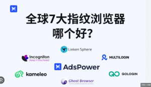 最适合新手小白使用的指纹浏览器是哪款？一文看懂！