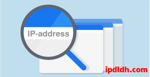 2025指纹浏览器哪款好用？全球TOP10全解析