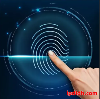 紫鸟浏览器与跨境卫士对比：功能、价格、实用性、适用人群与售后深度解析