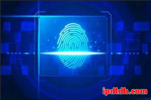 紫鸟浏览器和比特浏览器优缺点对比，跨境电商如何选择