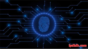 跨境电商必备工具对比：云登浏览器与跨境卫士使用指南