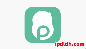 2025年最新花生代理使用指南：它是什么？怎么用？月费多少钱？