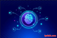 跨境工具选择：紫鸟浏览器与AntBrowser实用性全解析