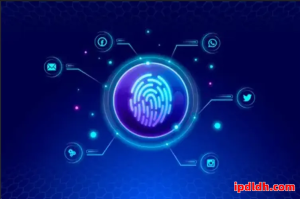 跨境工具选择：紫鸟浏览器与AntBrowser实用性全解析