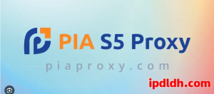 新手必看！PIA Proxy是什么？下载方法、功能用途及月费全解读