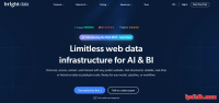 Bright Data是什么？靠谱吗？全方位使用指南与注意事项
