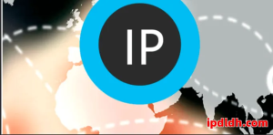 豌豆代理是什么？靠谱吗及详细使用指南全解析