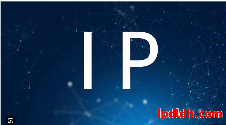 动态代理IP与静态代理IP：哪个更适合你的需求？ 第1张