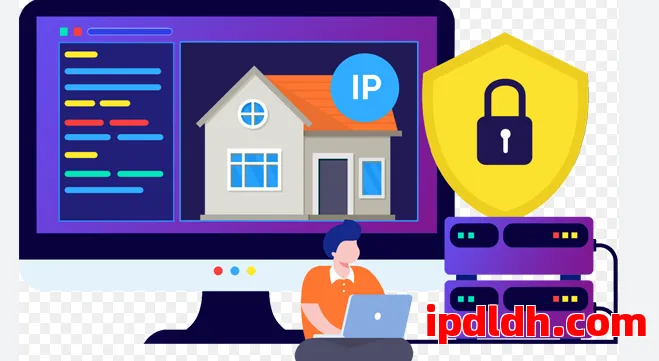 住宅代理IP vs 数据中心代理IP：哪个更适合你？ 第1张
