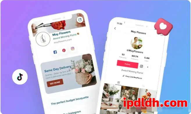 动态住宅代理IP如何实现多账号安全管理？TikTok Facebook X 第3张