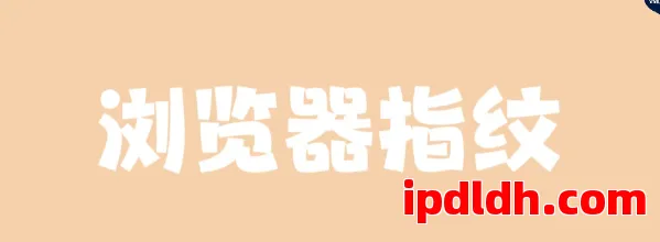 什么是浏览器指纹？为什么它比IP地址更“致命”？ 第1张