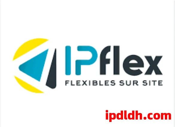 PFlex是什么？IPFlex有什么用？怎么下载？多少钱一个月？全面解析指南 第1张