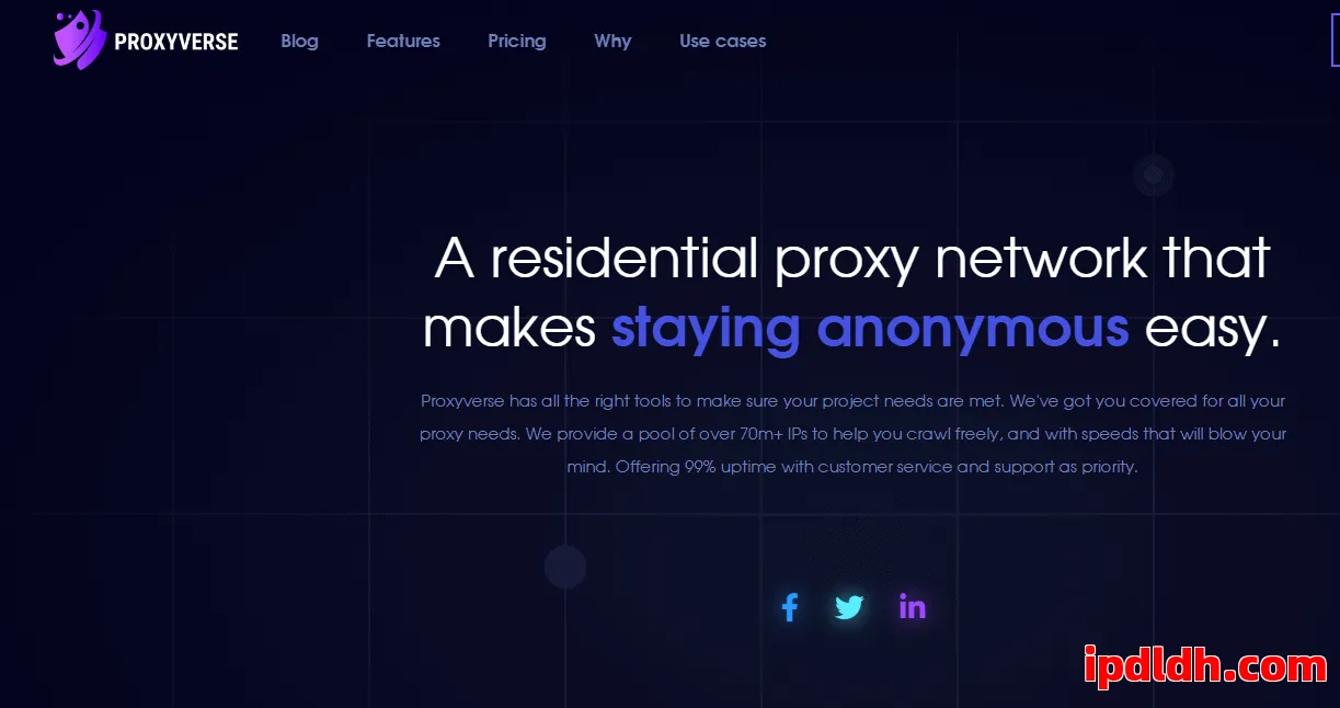 新手指南：Proxyverses是什么？怎么用？多少钱？全解析 第1张
