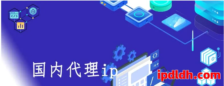动态代理IP与静态代理IP全解析，新手避坑必读指南！ 第1张