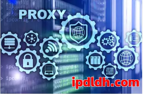 2025年全球10大代理IP软件排行榜：Bright Data、IPFLY、Oxylabs领衔，企业级与性价比之选 第1张