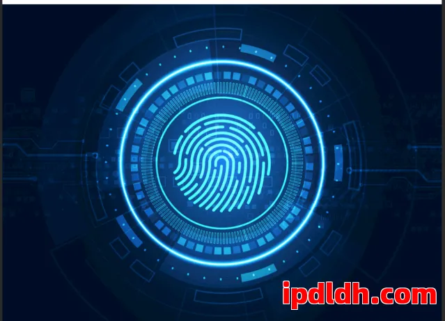 指纹浏览器稳定性提升全攻略：多账号操作无忧实用技巧 第1张