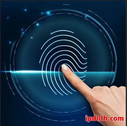 HTTP代理服务器国内外对比：速度、价格与匿名性深度分析 第1张