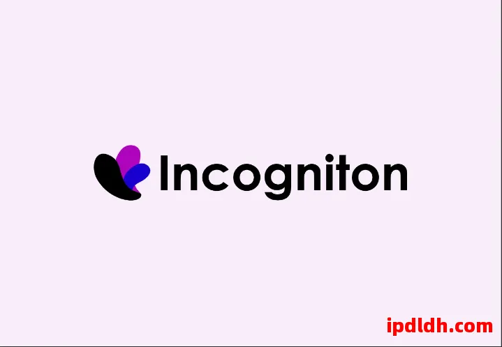 Incogniton使用测评：功能、优势与不足全面解析 第1张