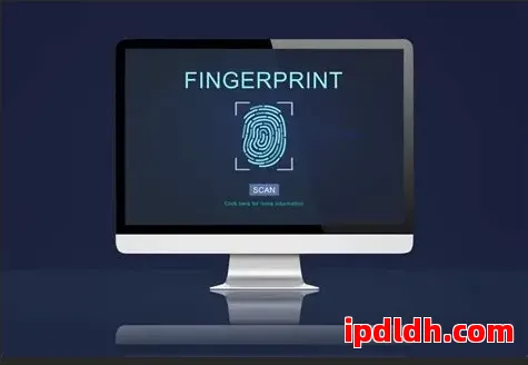紫鸟浏览器与Octo Browser全面对比：价格功能优缺点解析 第1张